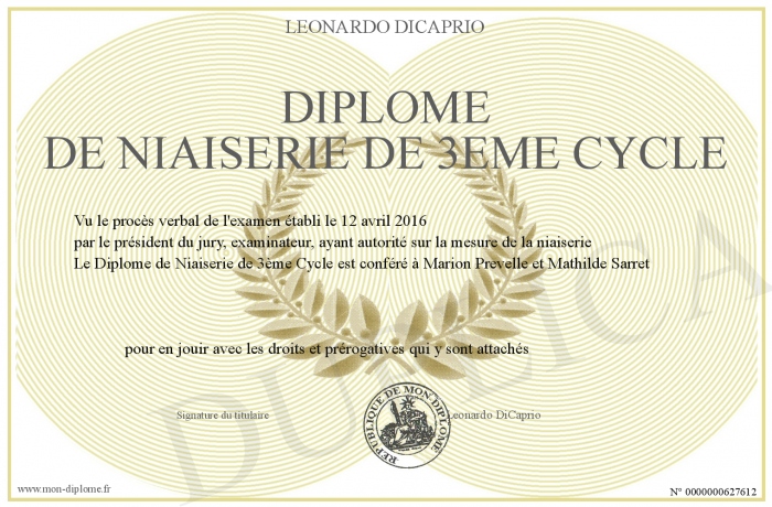 diplome 3eme cycle